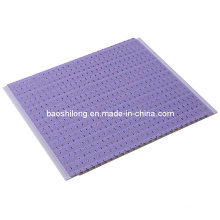 Hot Stamping Trsfer Printing PVC Ceiling Panel